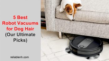 5 Best Robot Vacuums for Dog Hair (Our Ultimate Picks)